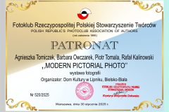 520patronat2025