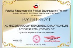 528patronat2025