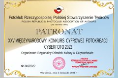 345czestochowa_patronatfotoklubu2022