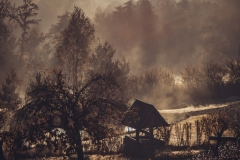 Bogusław-Dudziak