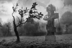 fotografia z cyklu "Prześwietlenia"