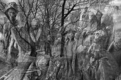 fotografia z cyklu "Prześwietlenia"