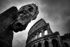 Horse in the city