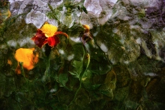 05_Martwa-natura-Szklarniane-impresje